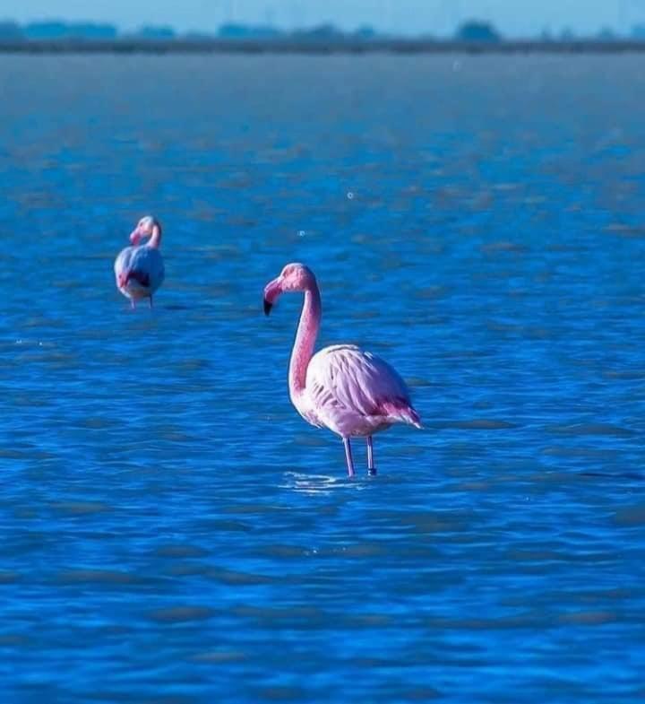 La Conchiglia Villa Marsala Luaran gambar